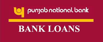 PNB Housing Finance Limited Logo
